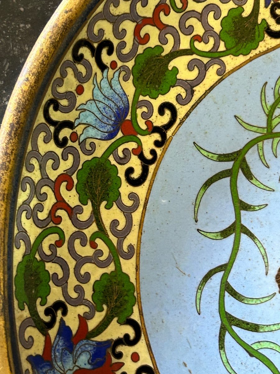 Assiette émail Cloisonnée Chine Fin XIXéme -photo-2