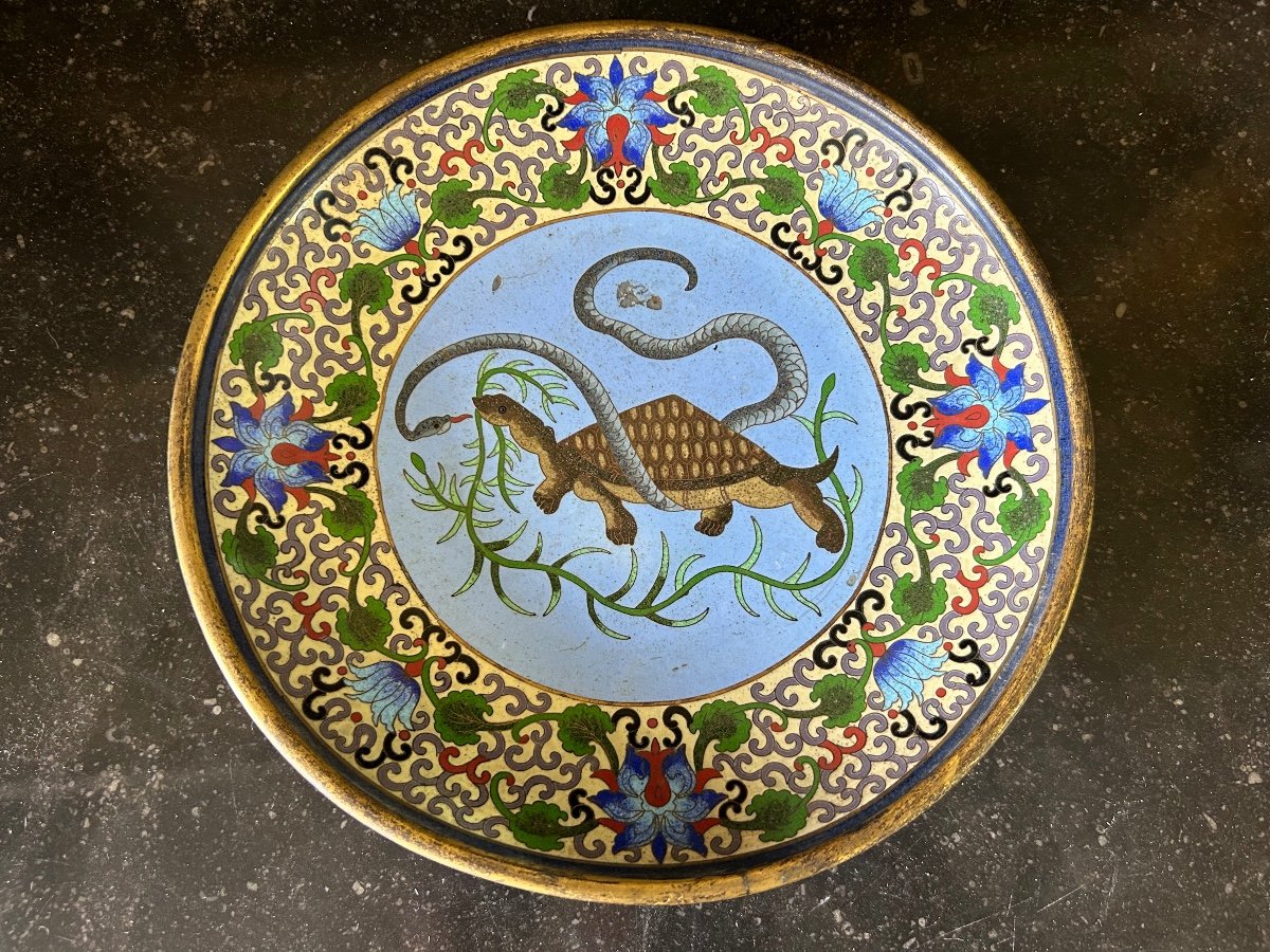 Assiette émail Cloisonnée Chine Fin XIXéme -photo-5