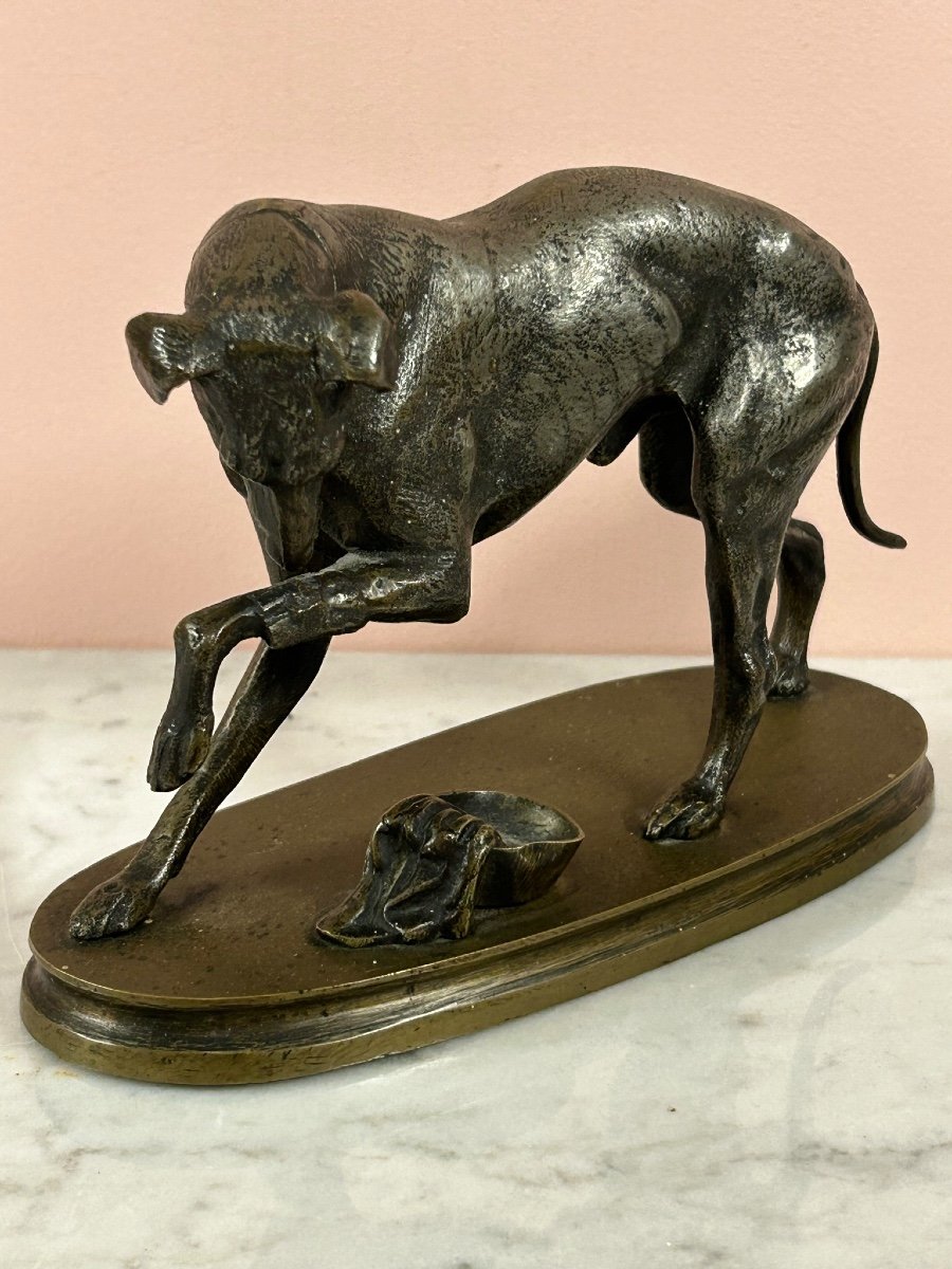 Petite Bronze à Deux Patine  Fin XIXéme «  La Levrette Blessée « chien en bronze-photo-2