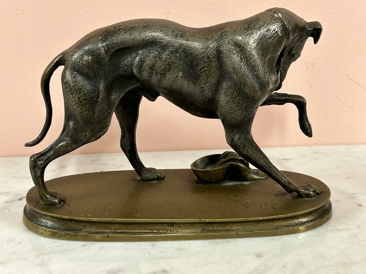 Petite Bronze à Deux Patine  Fin XIXéme «  La Levrette Blessée « chien en bronze-photo-4