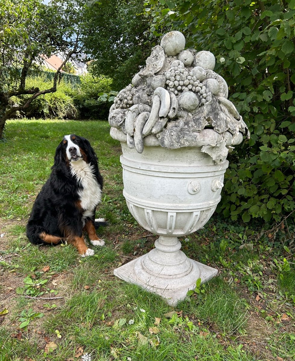 Huge Vase - Fruit Pot Garden Decoration XXth Century