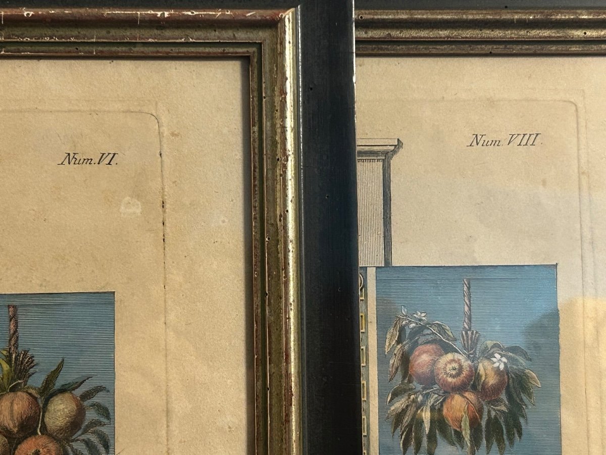 Pair Of Engravings - Giovanni Ottaviani (1735-1808) Boards From Raphael's Lodge In The Vatican-photo-8