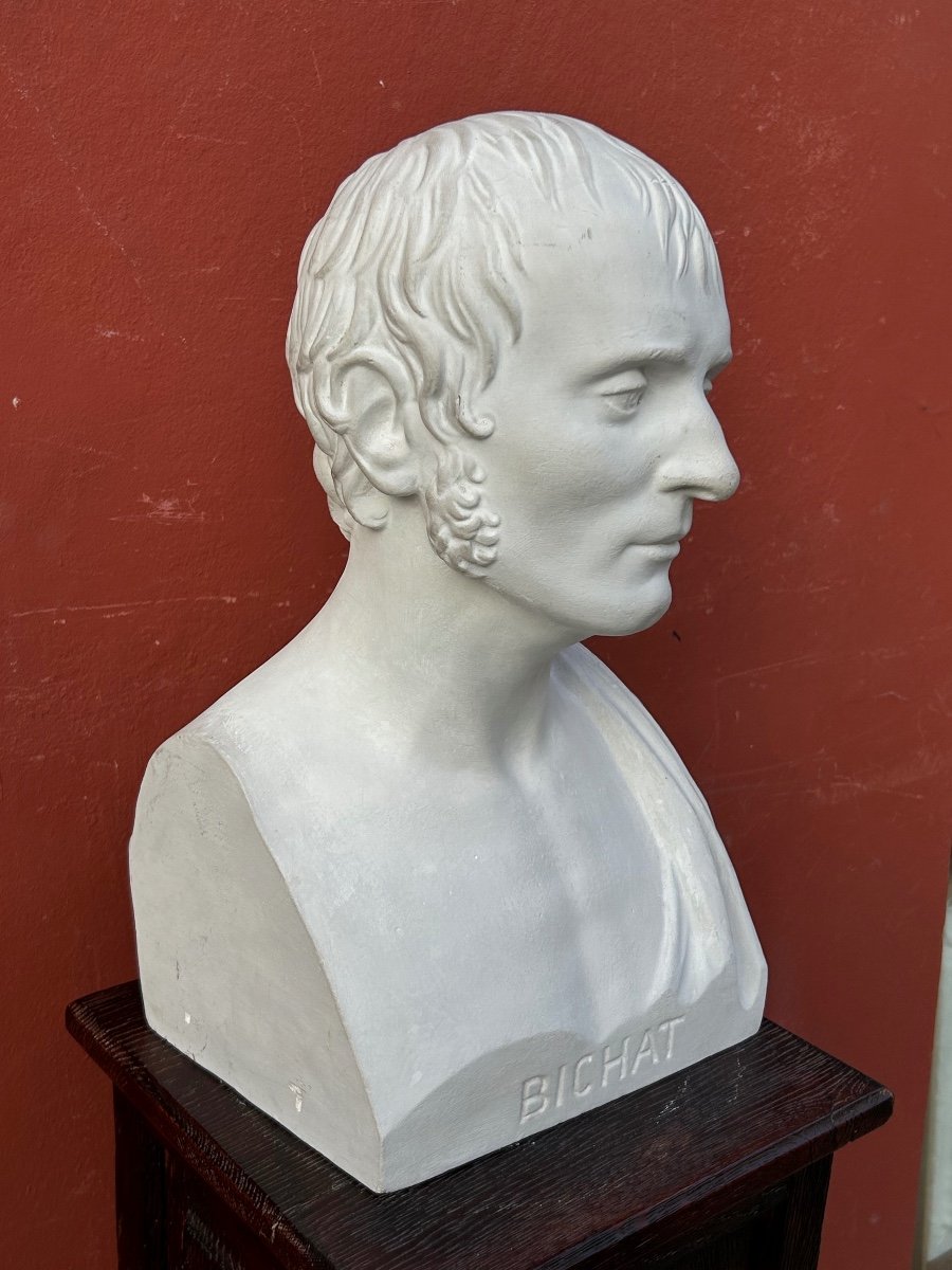 Xavier Bichat ( 1771-1802 ) Médecin - Buste De Bibliothèque En Plâtre XIXéme N°2-photo-2