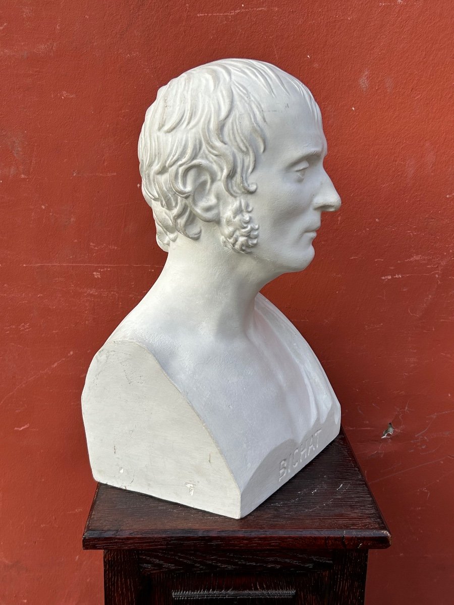 Xavier Bichat ( 1771-1802 ) Médecin - Buste De Bibliothèque En Plâtre XIXéme N°2-photo-4