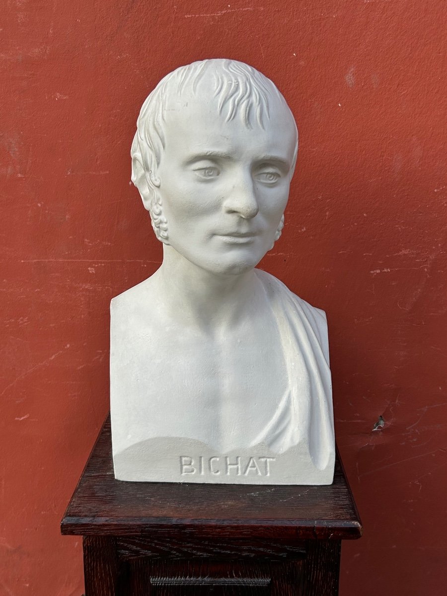 Xavier Bichat ( 1771-1802 ) Médecin - Buste De Bibliothèque En Plâtre XIXéme N°2
