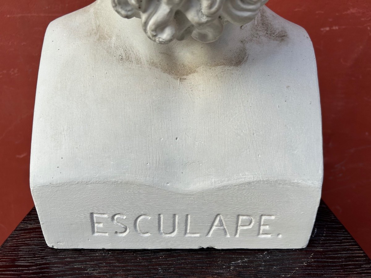Esculape / Asclépios - Dieu Romain De La Médecine - Buste De Bibliothèque En Plâtre XIXéme N°3-photo-8