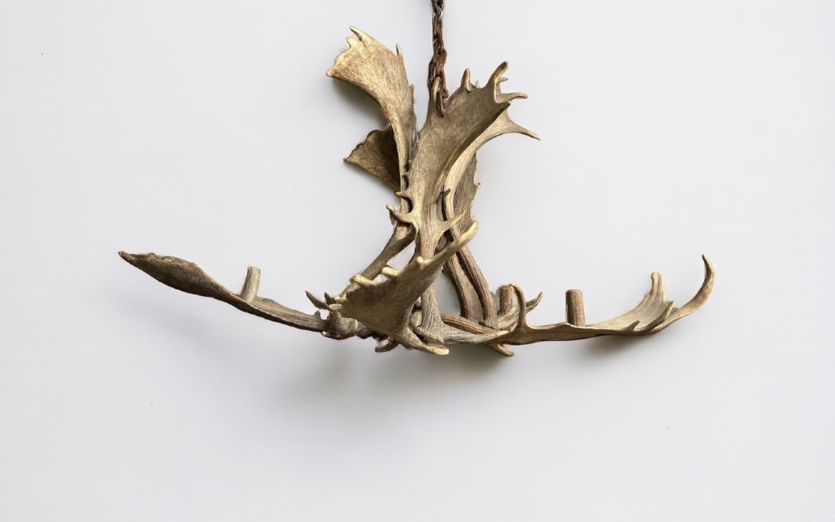 Important Lustre En Bois D’élan Début XXéme Siècle- bois de cerf-photo-2