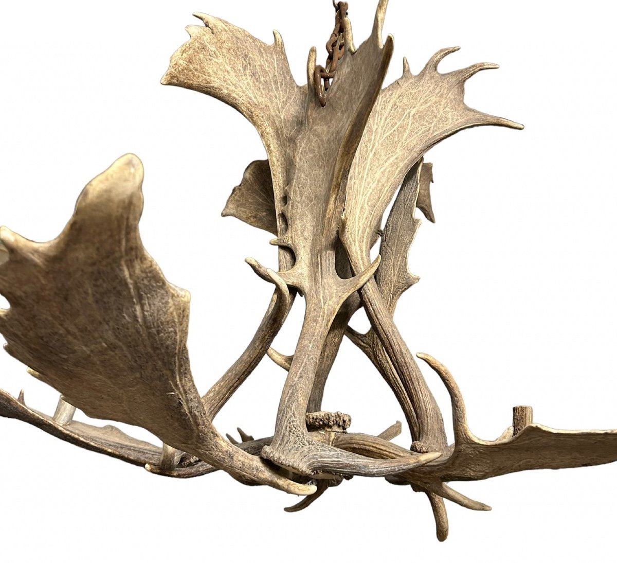 Important Lustre En Bois D’élan Début XXéme Siècle- bois de cerf-photo-1