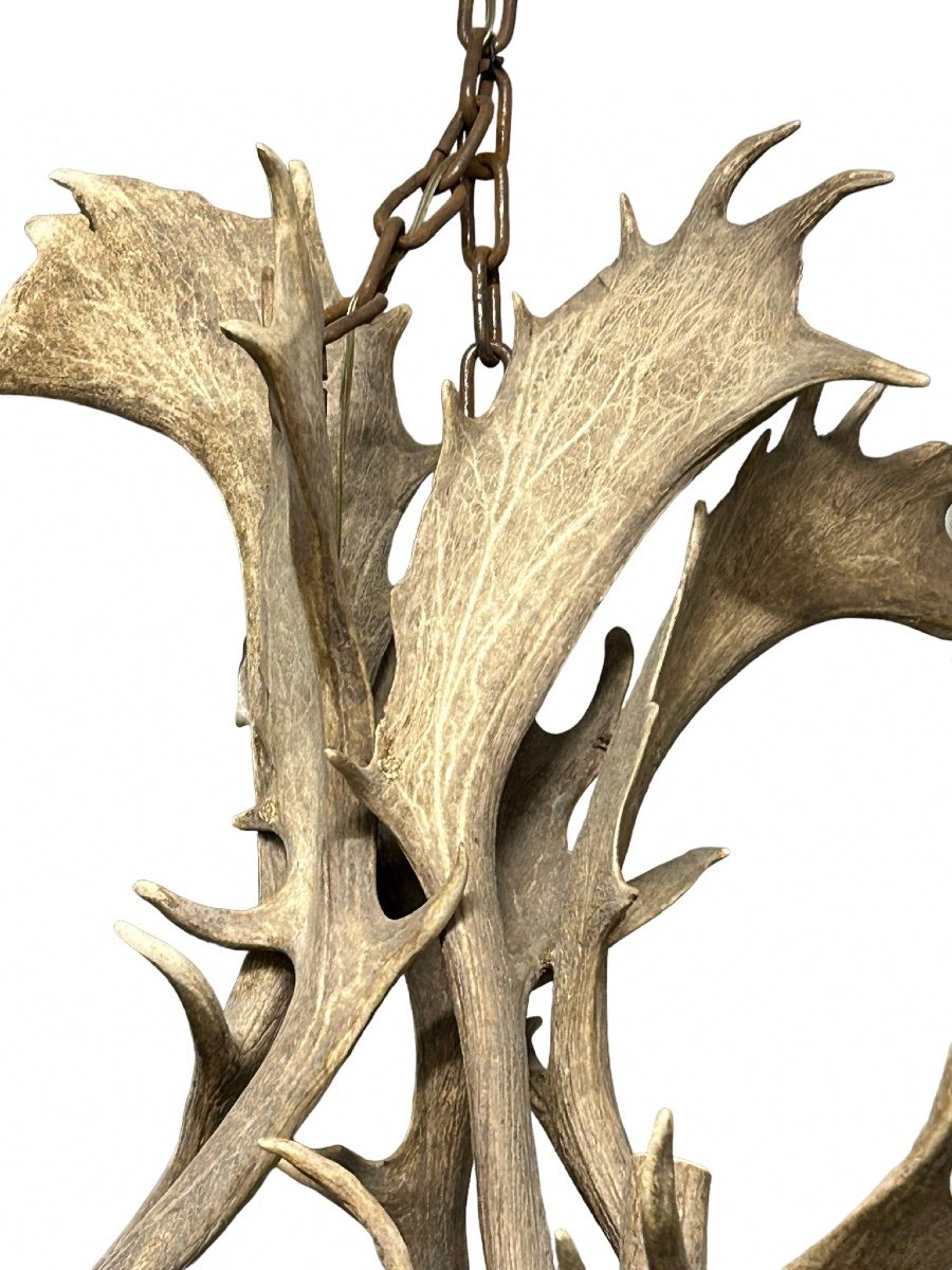 Important Lustre En Bois D’élan Début XXéme Siècle- bois de cerf-photo-2