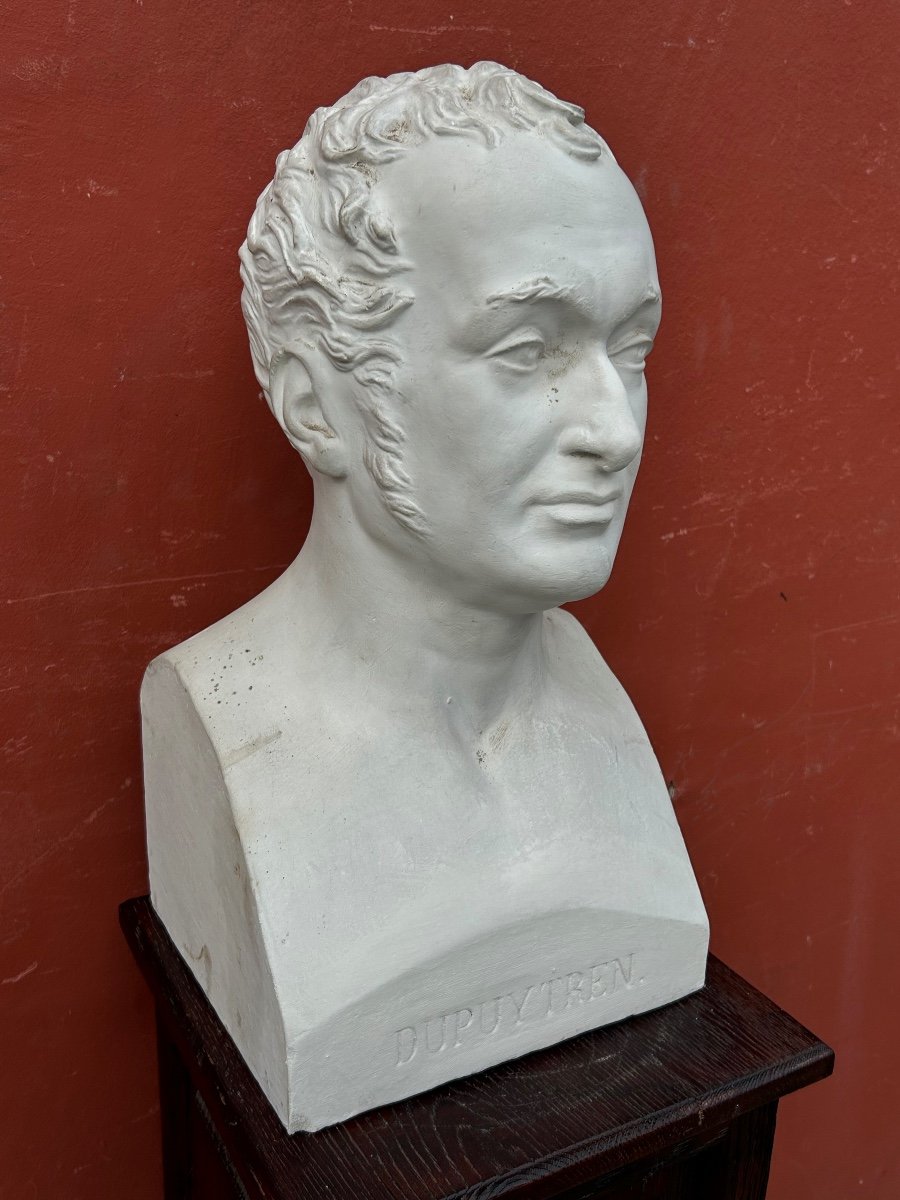 Baron Guillaume Dupuytren (1777- 1835) Buste De Bibliothèque En Plâtre - Anatomiste, Chirurgien N°5-photo-4
