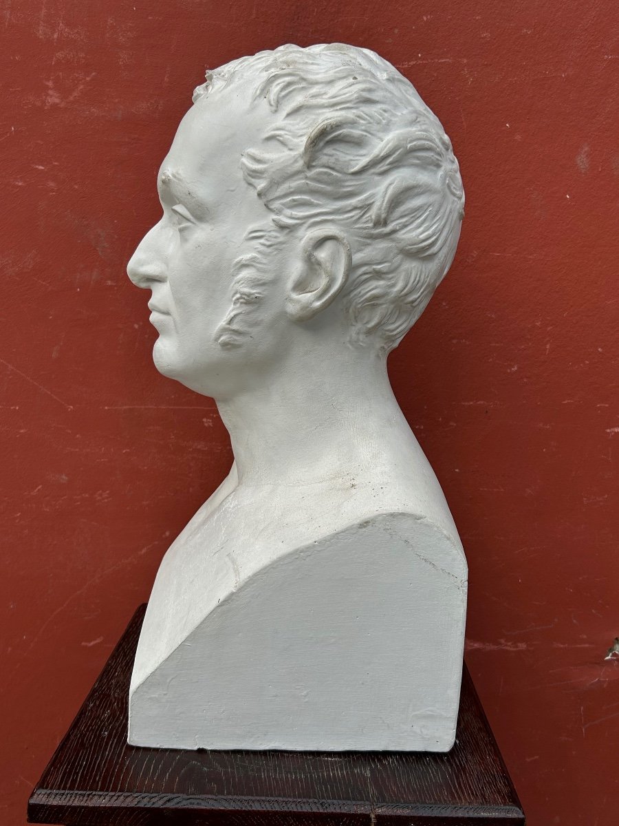 Baron Guillaume Dupuytren (1777- 1835) Buste De Bibliothèque En Plâtre - Anatomiste, Chirurgien N°5-photo-2