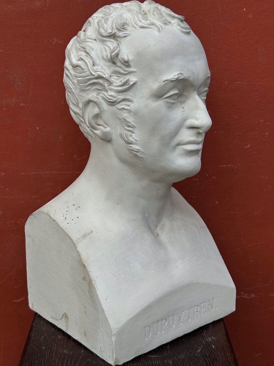 Baron Guillaume Dupuytren (1777- 1835) Buste De Bibliothèque En Plâtre - Anatomiste, Chirurgien N°5-photo-6