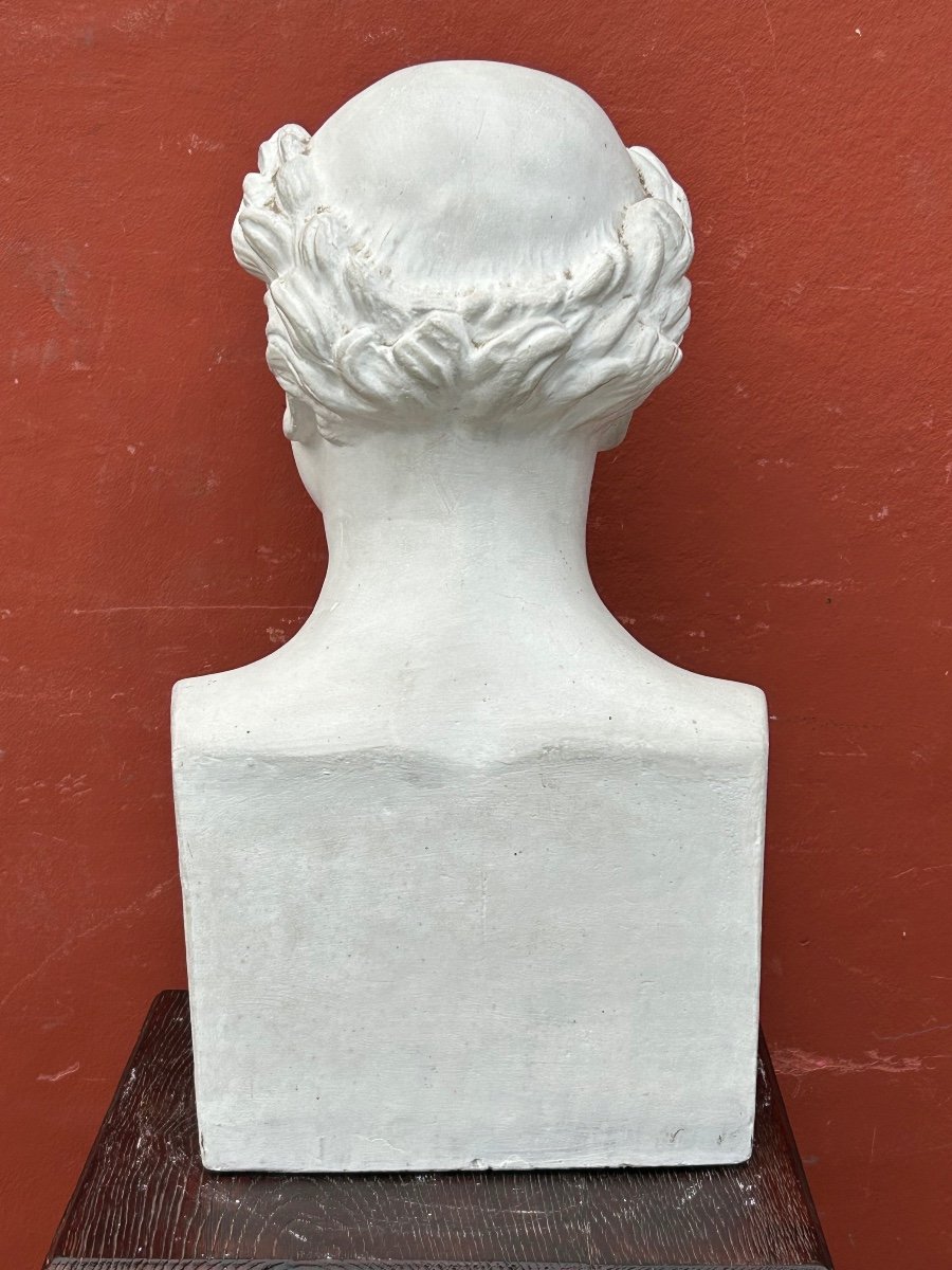 Paul Antoine Dubois (1795-1871) Médecin Obstétricien - Buste De Bibliothèque plâtre XIXème N°8-photo-4