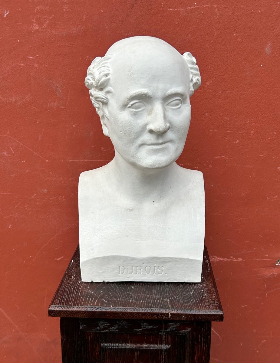 Paul Antoine Dubois (1795-1871) Médecin Obstétricien - Buste De Bibliothèque plâtre XIXème N°8
