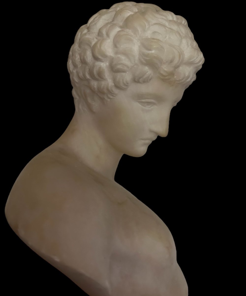 Buste De L’antinoüs Du Capitole En Albâtre Début XXéme Siècle - Art Romain antique-photo-8