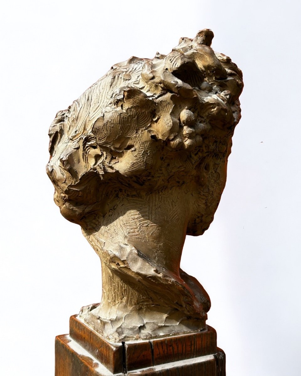 Fernando Ciancianaini (1889-1954) Original Terracotta Sculpture - Bust Of Young Man -photo-1