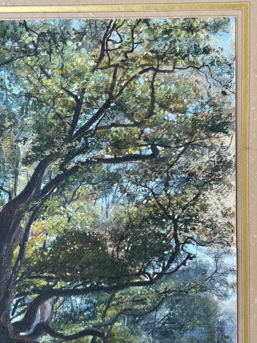 Armand Théophile Cassagne (1823-1907) Aquarelle Vue De La Forêt De Fontainebleau 1866 -photo-3