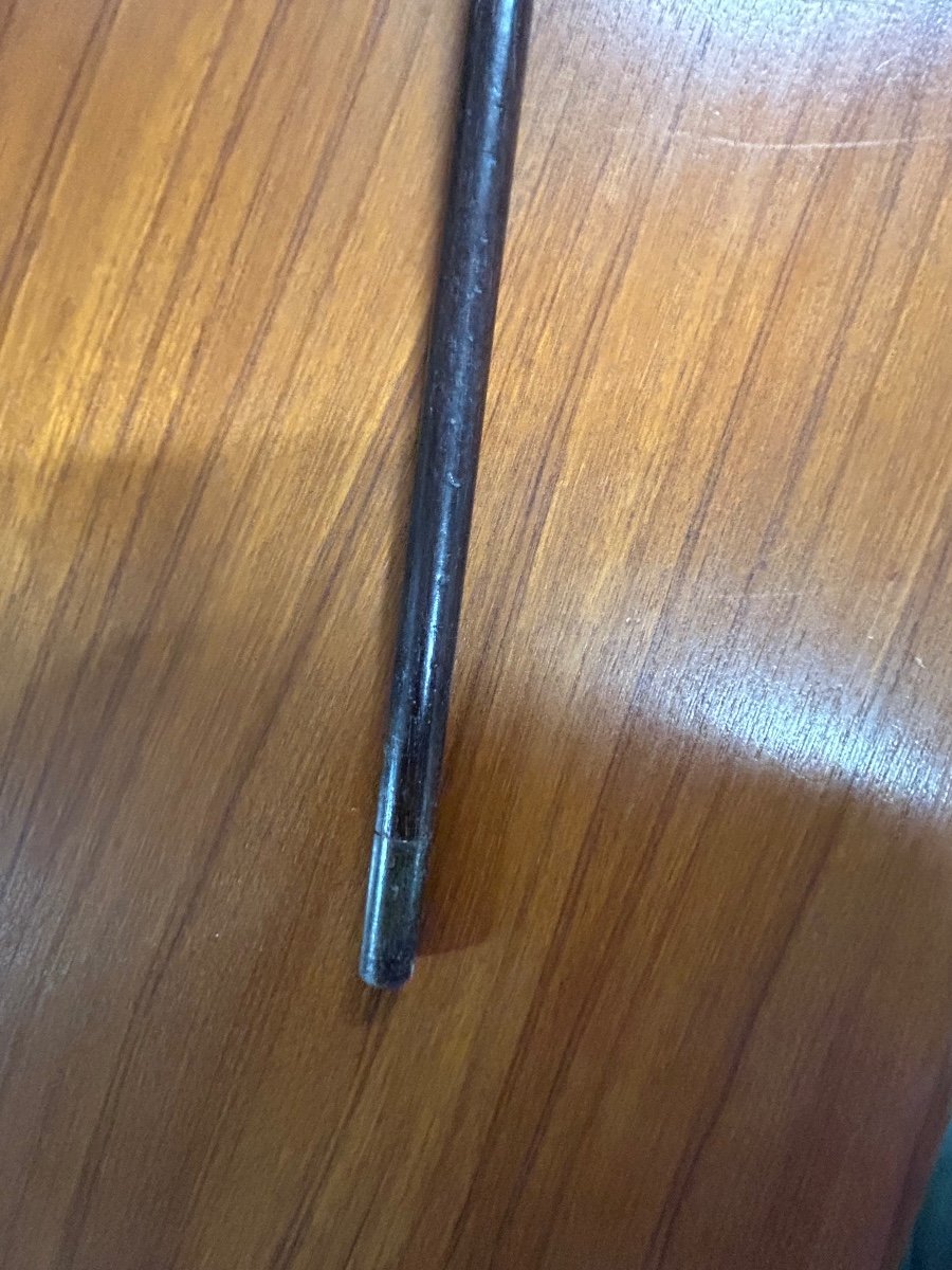 Canne Ancienne Ou Bâton De Marche Pommeau Tête De Chien En Ivoire Sculpté époque Fin XIXéme -photo-5