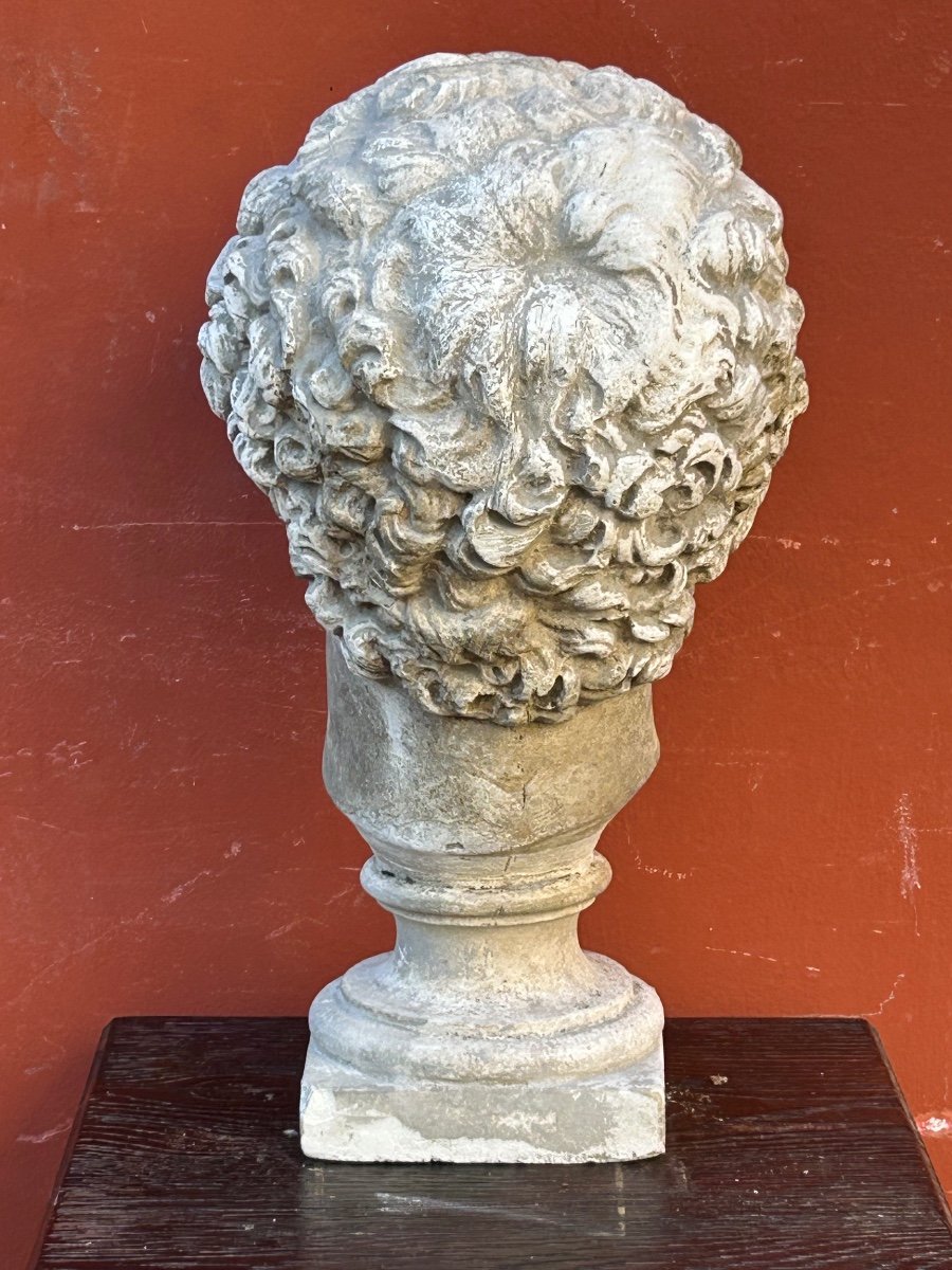Antinus Bust - Grand Tour - Plaster Cast Late 19th Century - Antique - Roman -photo-4