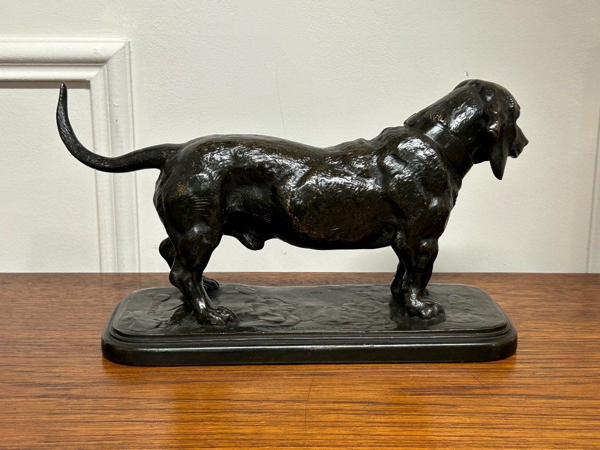Antoine-louis Barye (1795-1865) Basset Standing Head To The Left Barbedienne Cast 19th Century -photo-1