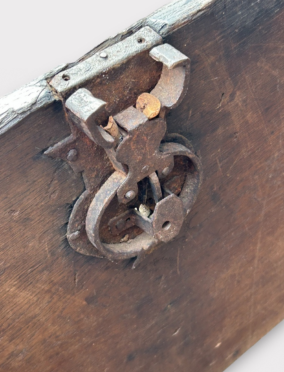Important Oak Chest With Domed Top And Rich Wrought Iron Decoration, 17th Century -photo-8