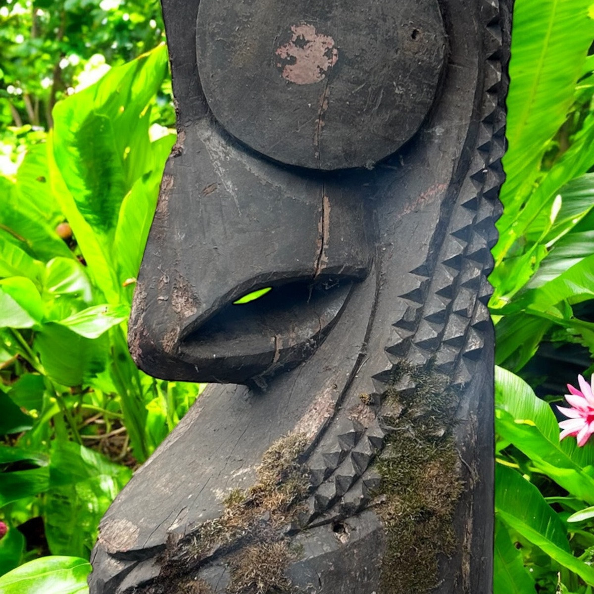 tambour d’Ambrym, tambour à fente Vanuatu, totem, art tribal, art océanien, océanie, H 380 cm-photo-2