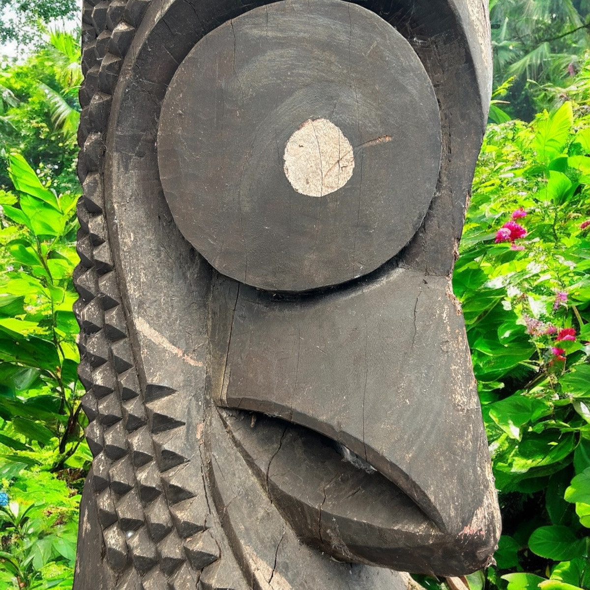 tambour d’Ambrym, tambour à fente Vanuatu, totem, art tribal, art océanien, océanie, H 380 cm-photo-6