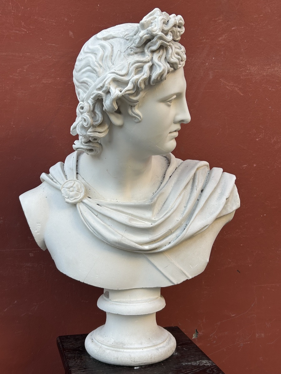 Important buste en plâtre d’après l’antique  début XXéme l’Apollon dû Belvédère H 80 cm-photo-2