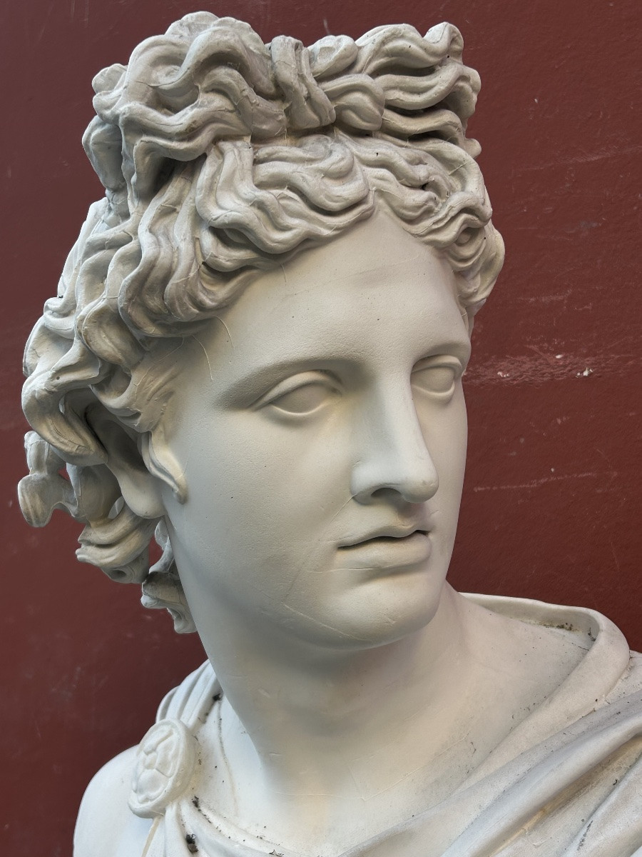 Important buste en plâtre d’après l’antique  début XXéme l’Apollon dû Belvédère H 80 cm-photo-4