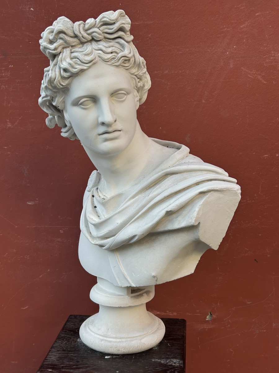 Important buste en plâtre d’après l’antique  début XXéme l’Apollon dû Belvédère H 80 cm-photo-1