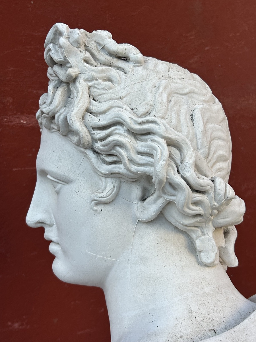 Important buste en plâtre d’après l’antique  début XXéme l’Apollon dû Belvédère H 80 cm-photo-4