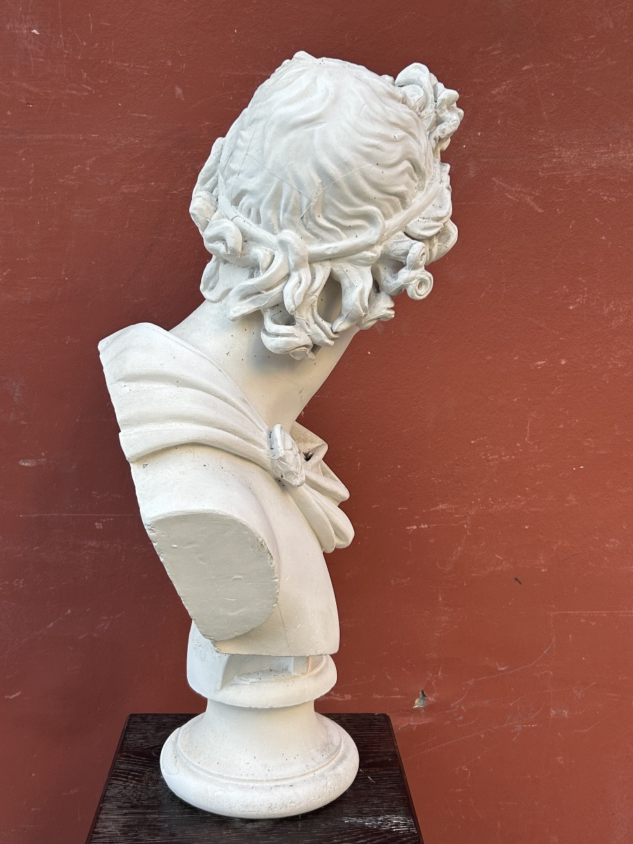 Important buste en plâtre d’après l’antique  début XXéme l’Apollon dû Belvédère H 80 cm-photo-5