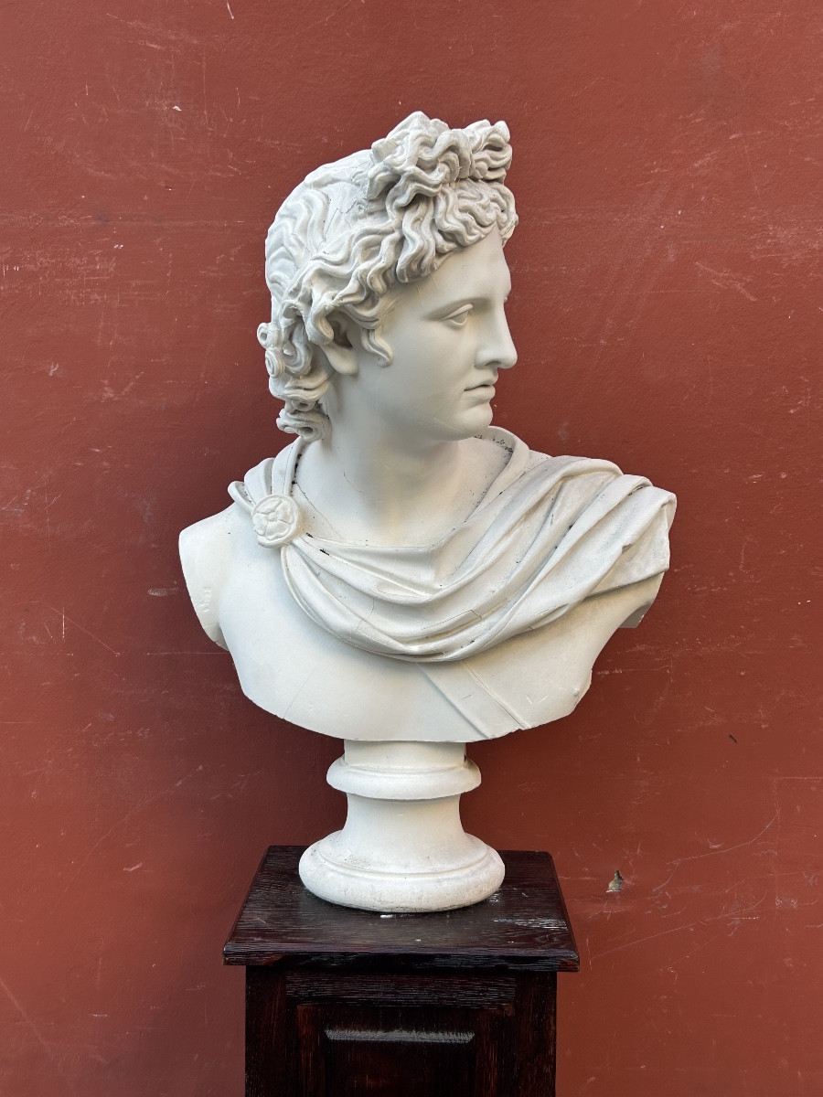 Important buste en plâtre d’après l’antique  début XXéme l’Apollon dû Belvédère H 80 cm