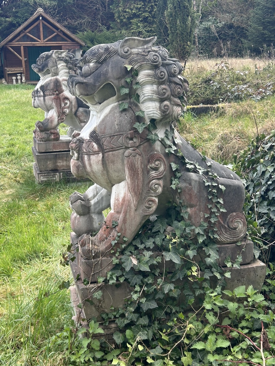 Importante paire de chiens de fô gardiens de temple sculpture en marbre hauteur 180 cm-photo-2
