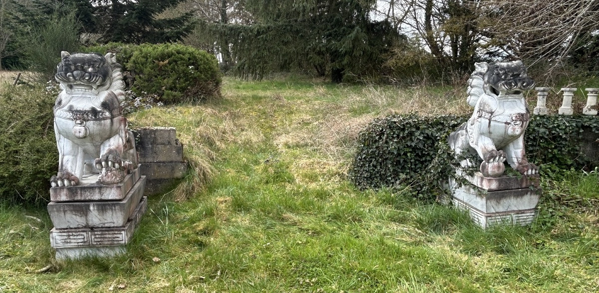 Importante paire de chiens de fô gardiens de temple sculpture en marbre hauteur 180 cm-photo-3