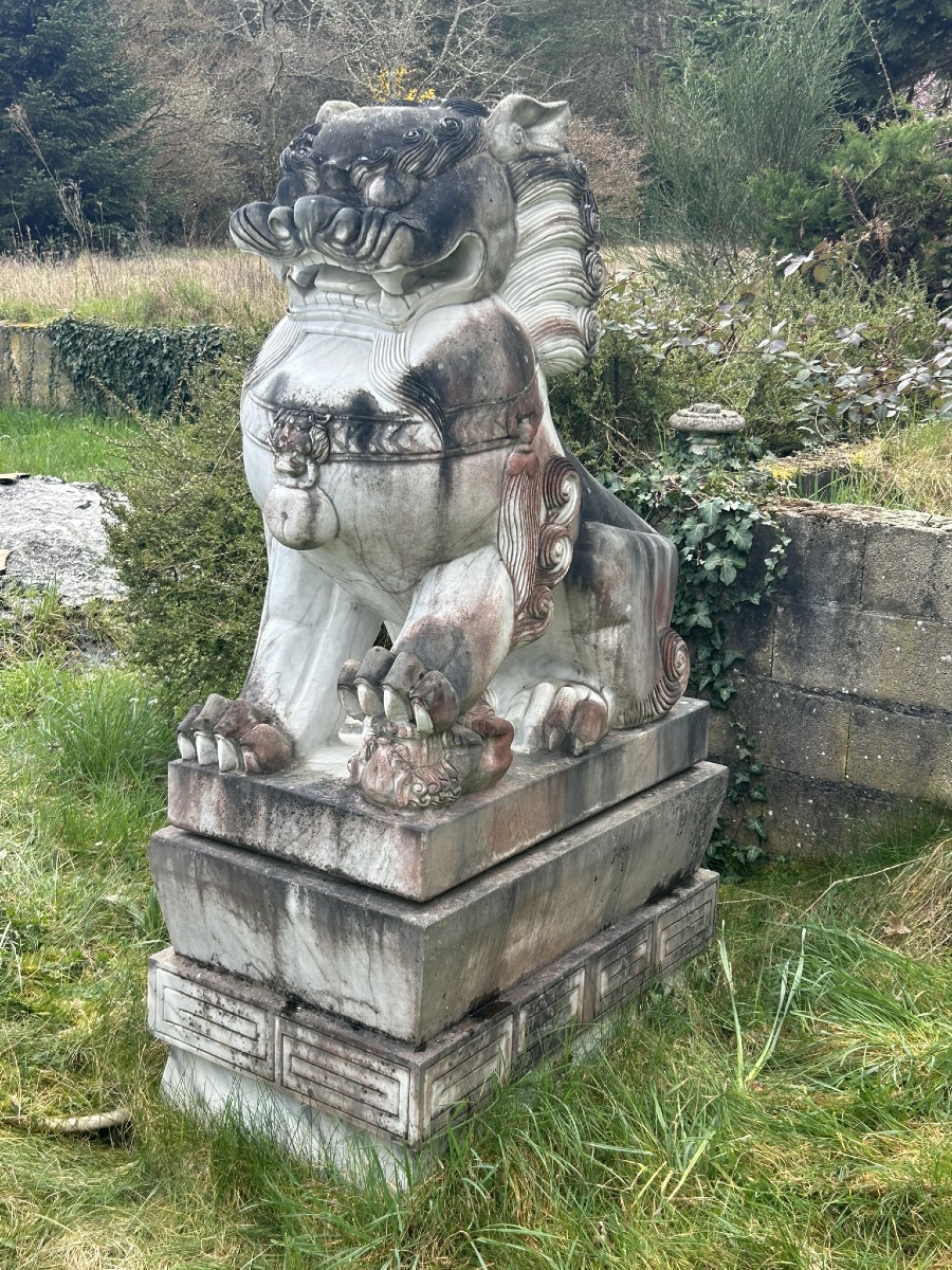 Importante paire de chiens de fô gardiens de temple sculpture en marbre hauteur 180 cm-photo-4
