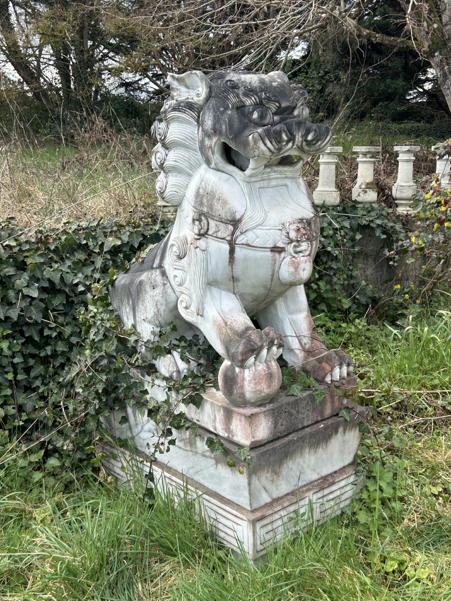 Importante paire de chiens de fô gardiens de temple sculpture en marbre hauteur 180 cm-photo-1