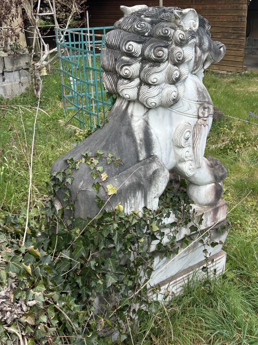Importante paire de chiens de fô gardiens de temple sculpture en marbre hauteur 180 cm-photo-2