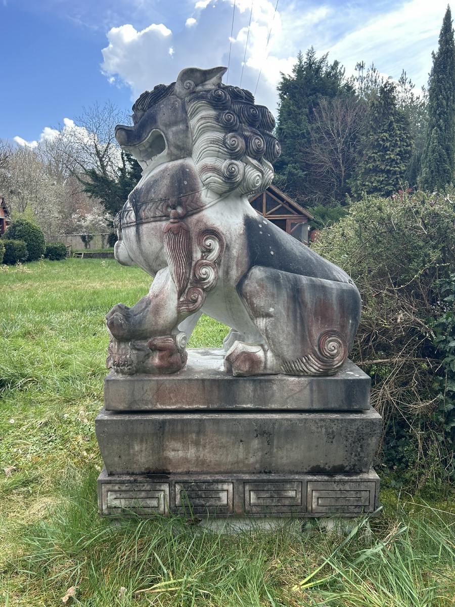 Importante paire de chiens de fô gardiens de temple sculpture en marbre hauteur 180 cm-photo-3