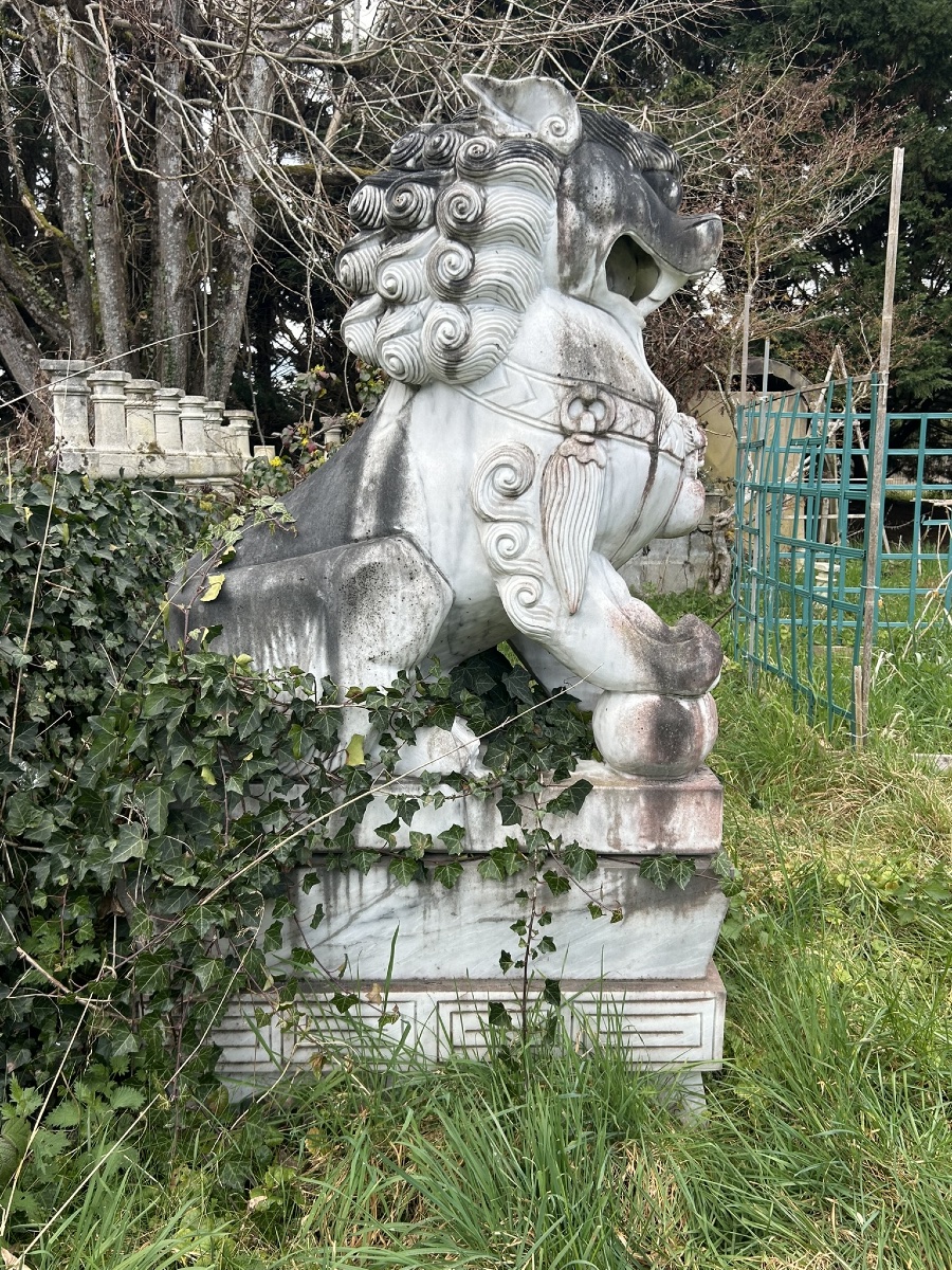 Importante paire de chiens de fô gardiens de temple sculpture en marbre hauteur 180 cm-photo-4