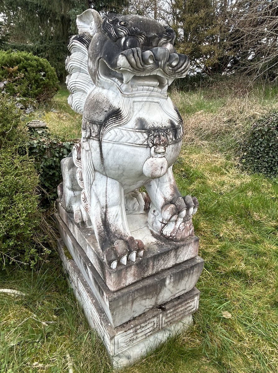 Importante paire de chiens de fô gardiens de temple sculpture en marbre hauteur 180 cm-photo-7