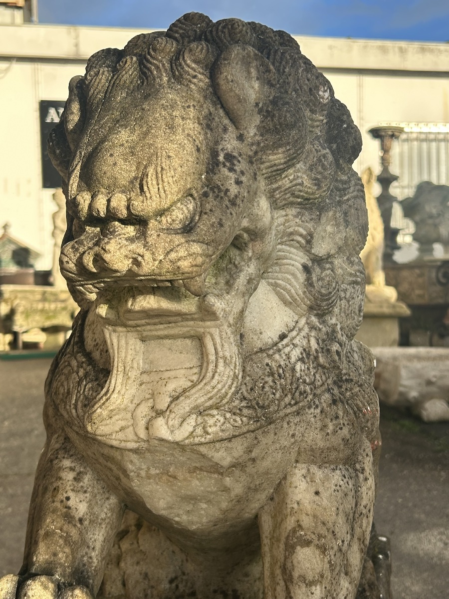 Pair Of Marble Foo Dogs, China, 19th Century - Chinese Foo Dogs -photo-1