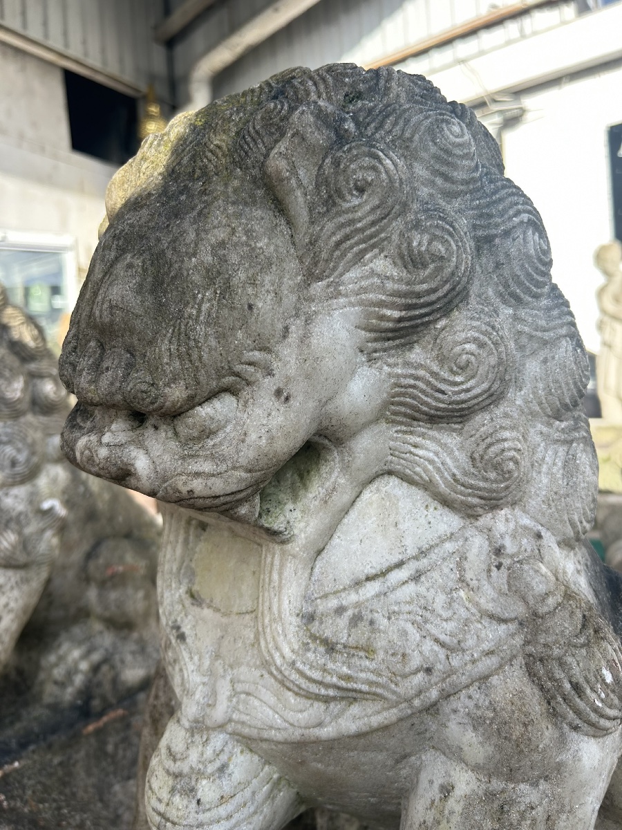 Pair Of Marble Foo Dogs, China, 19th Century - Chinese Foo Dogs -photo-4