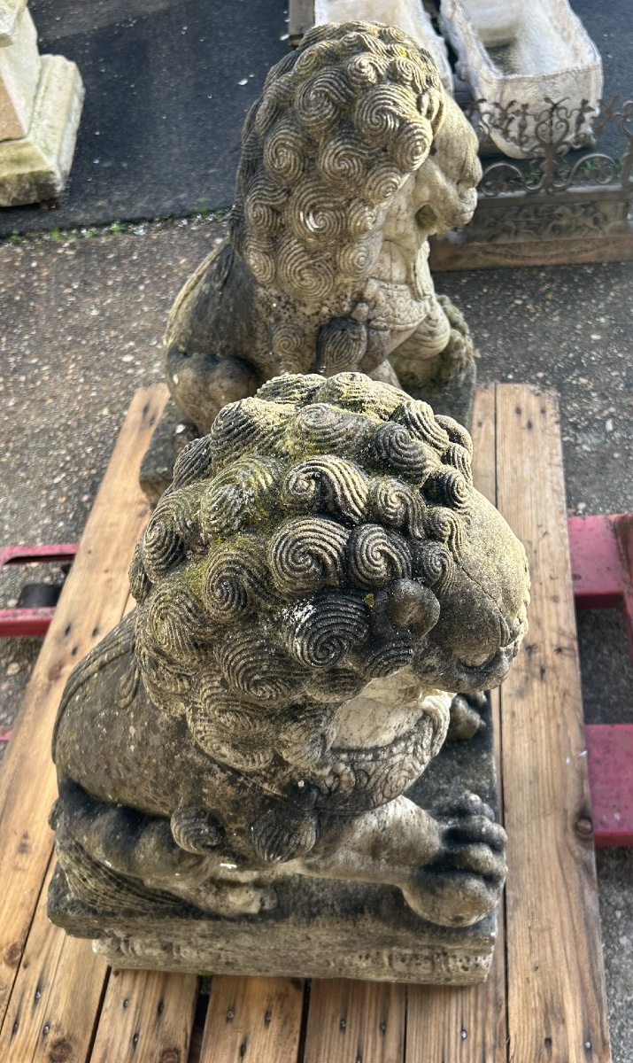 Pair Of Marble Foo Dogs, China, 19th Century - Chinese Foo Dogs -photo-7