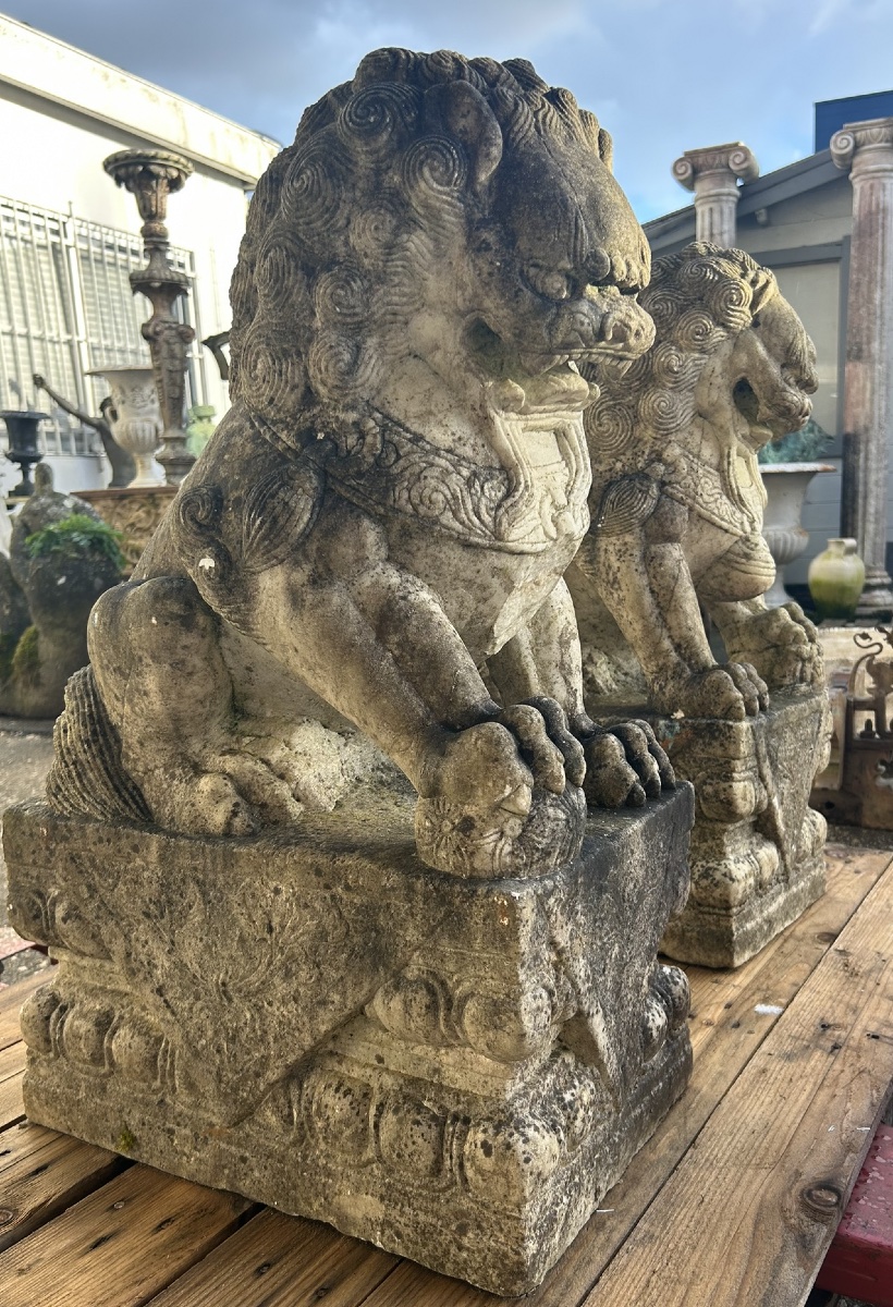 Pair Of Marble Foo Dogs, China, 19th Century - Chinese Foo Dogs -photo-8