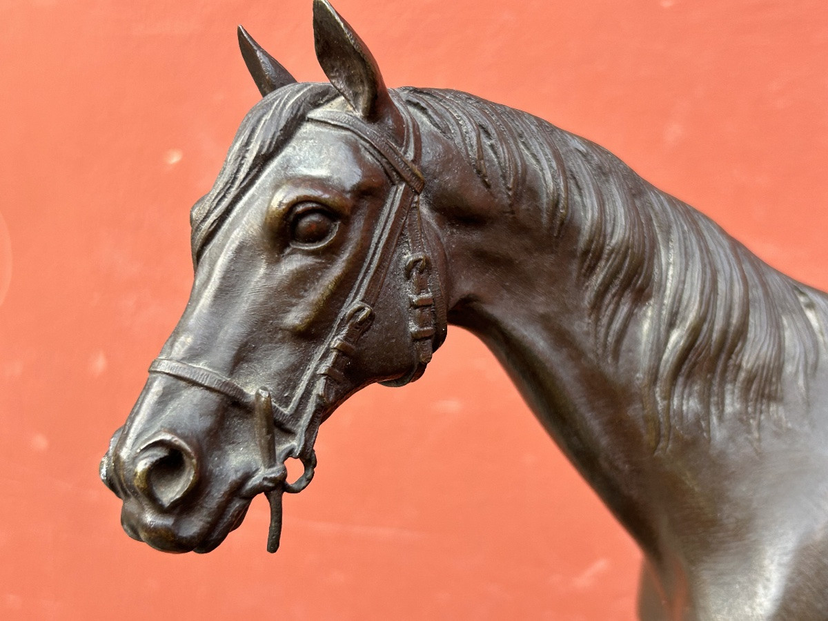Jules Moigniez (1835-1894) Bronze équestre - cheval de course scellé - époque XIXéme équitation-photo-7