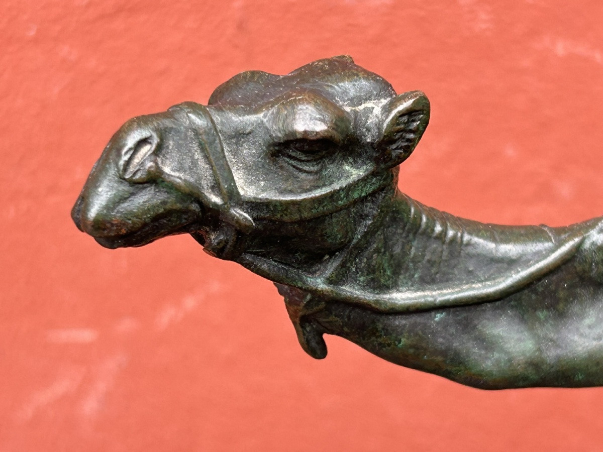 Louis Alfred Barye, Dit Barye Le Fils (1839-1895) Bronze Harnessed Dromedary 19th Century Camel-photo-3