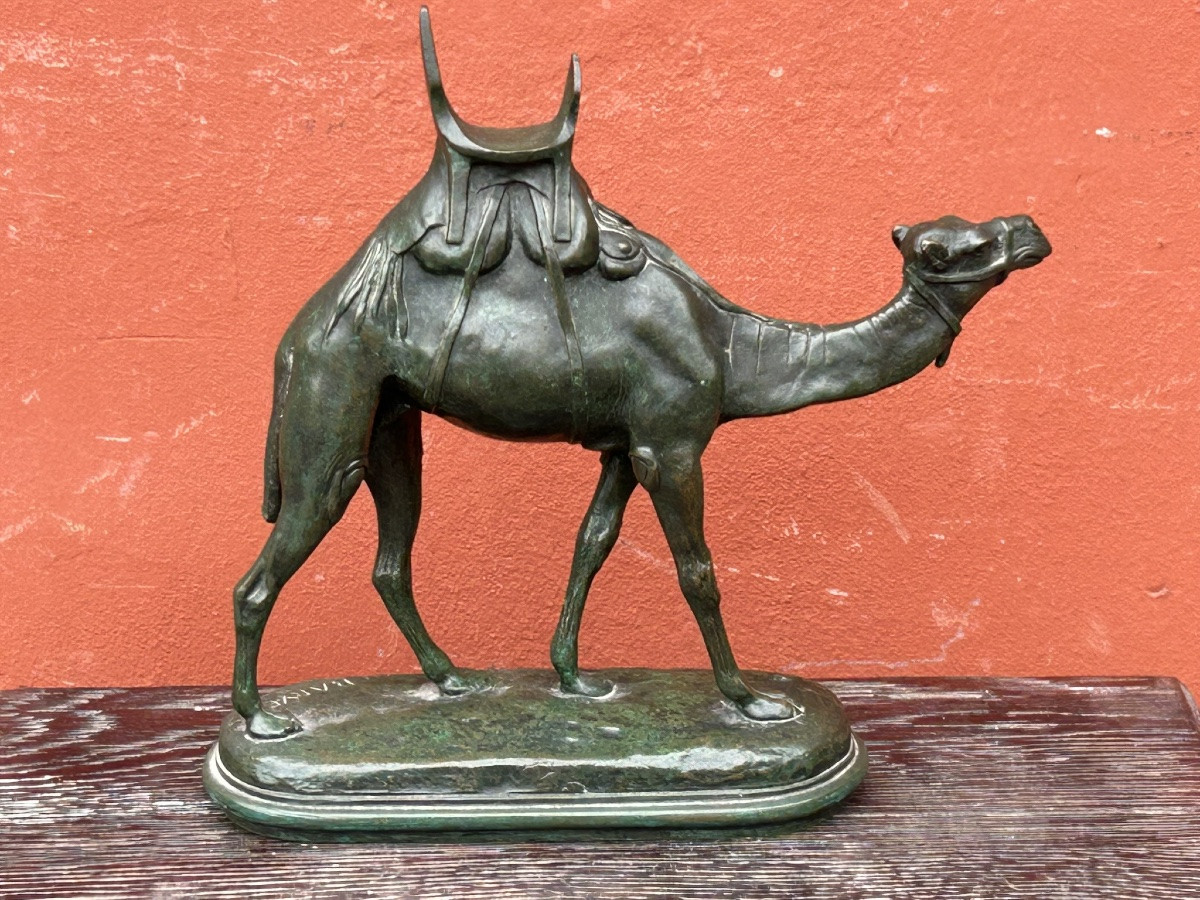 Louis Alfred Barye, Dit Barye Le Fils (1839-1895) Bronze Harnessed Dromedary 19th Century Camel-photo-3