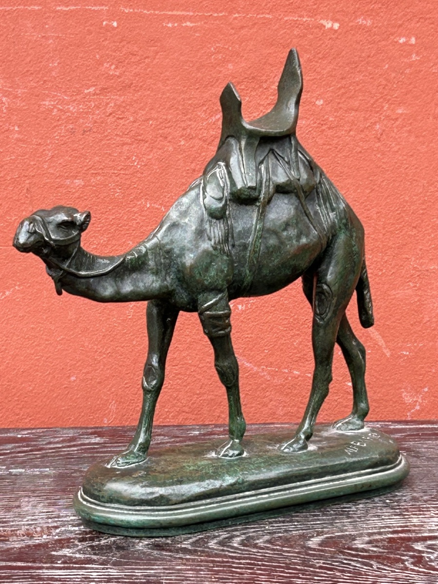 Louis Alfred Barye, Dit Barye Le Fils (1839-1895) Bronze Harnessed Dromedary 19th Century Camel-photo-8