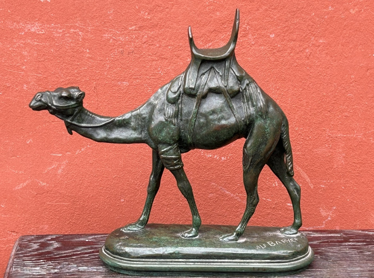 Louis Alfred Barye, Dit Barye Le Fils (1839-1895) Bronze Harnessed Dromedary 19th Century Camel